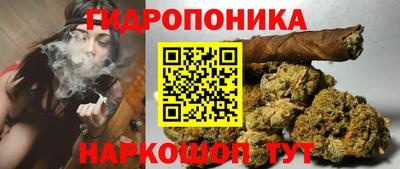 ПСИЛОЦИБИНОВЫЕ ГРИБЫ Аргун